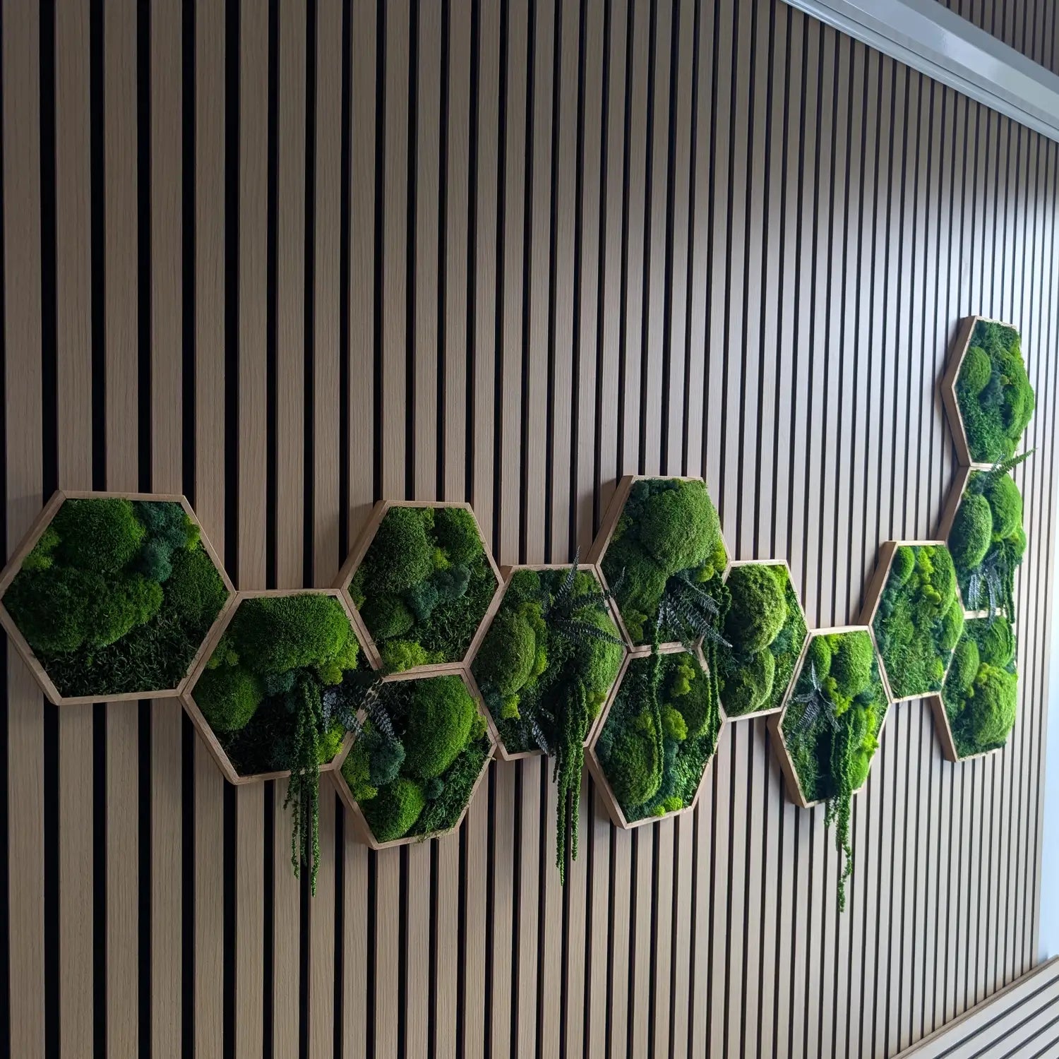 Verwandle deine Räume in eine natürliche Grünoase mit unseren Bestsellern: Ein erweitertes Set aus Hexagon Moosbildern, stilvoll präsentiert an einer modernen Akustikpaneel-Wand. Diese pflegeleichte Mooswand bietet dir die biophilen Vorteile der Natur ganz ohne Gießen – eine repräsentative Lösung, die ideal für Praxen, Büros oder dein Wohnzimmer ist.