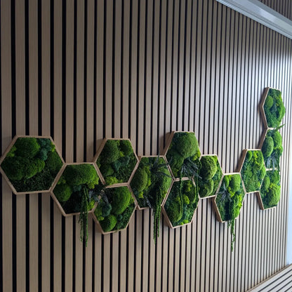 Verwandle deine Räume in eine natürliche Grünoase mit unseren Bestsellern: Ein erweitertes Set aus Hexagon Moosbildern, stilvoll präsentiert an einer modernen Akustikpaneel-Wand. Diese pflegeleichte Mooswand bietet dir die biophilen Vorteile der Natur ganz ohne Gießen – eine repräsentative Lösung, die ideal für Praxen, Büros oder dein Wohnzimmer ist.