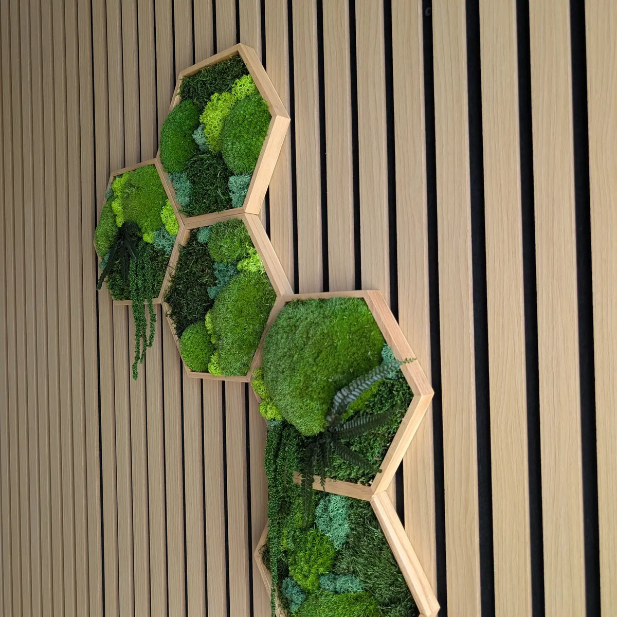 Detailaufnahme eines Moos-Hexagons mit konservierten Farnen und Kugelmoos. Die verschiedenen Grüntöne und Strukturen sorgen für ein echtes Waldgefühl an deiner Wand. 100% Natur, die dauerhaft frisch bleibt, ganz ohne grünen Daumen