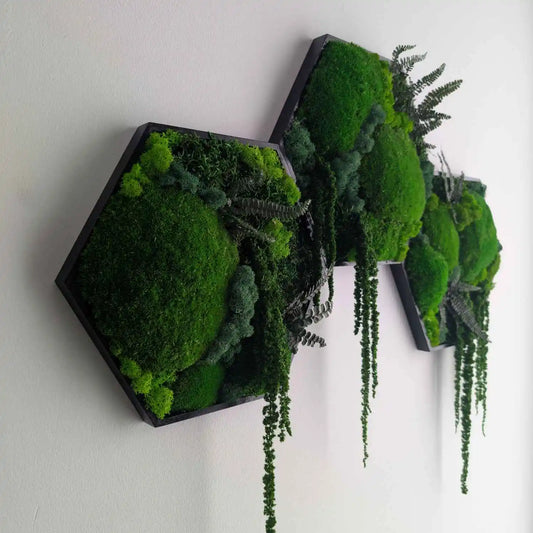 Hexagon Set, Erweiterbare Moosbilder in verschiedenen Rahmenfarben