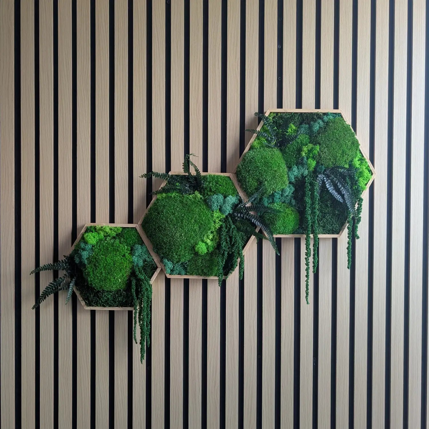 Stilvolle und pflegeleichte Dekoration für Praxen und Büros: Rundes Moos-Design im modernen Hexagon-Look