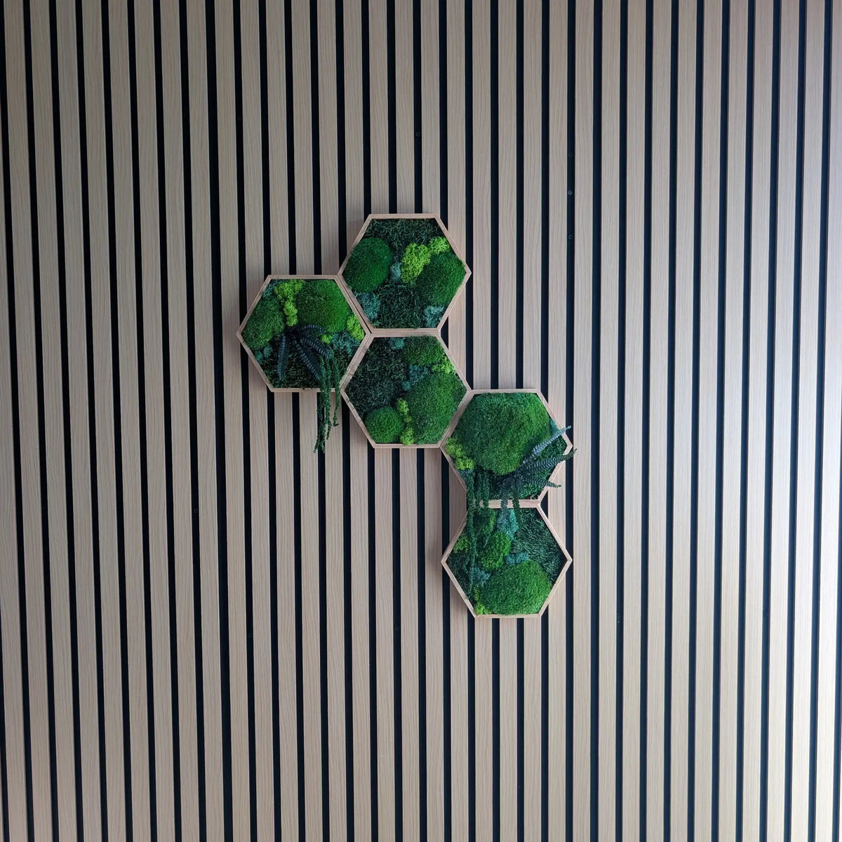 Moderne Wandgestaltung für Büro oder Wohnzimmer: Fünf kreative Moos-Hexagone, arrangiert an einer stylischen Holzakustikwand. Unser Bestseller lässt sich flexibel erweitern und bietet 100% Natur-Genuss bei 0% Pflege – ideal für alle, die eine pflegeleichte und repräsentative Dekoration suchen.