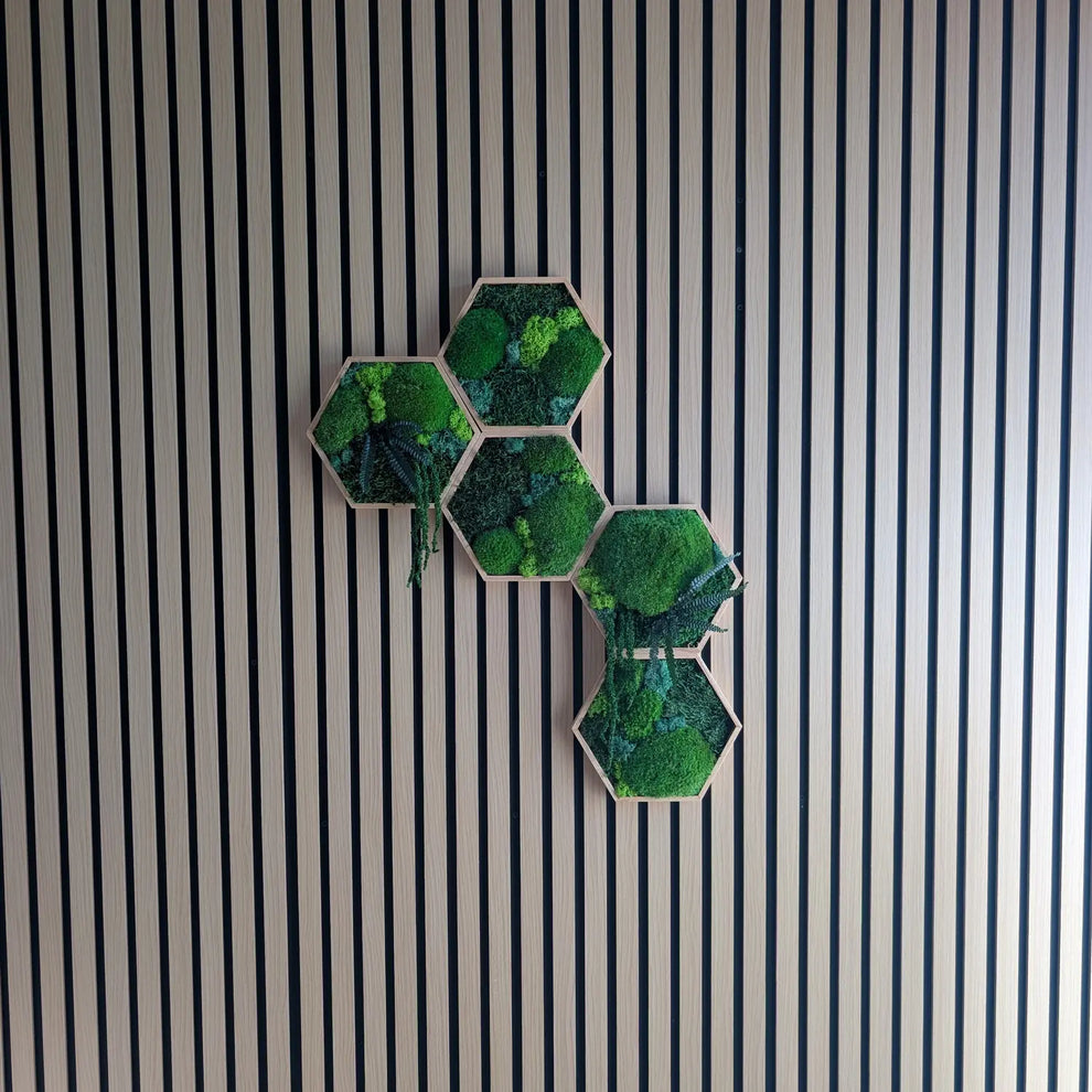 Moderne Wandgestaltung für Büro oder Wohnzimmer: Fünf kreative Moos-Hexagone, arrangiert an einer stylischen Holzakustikwand. Unser Bestseller lässt sich flexibel erweitern und bietet 100% Natur-Genuss bei 0% Pflege – ideal für alle, die eine pflegeleichte und repräsentative Dekoration suchen.