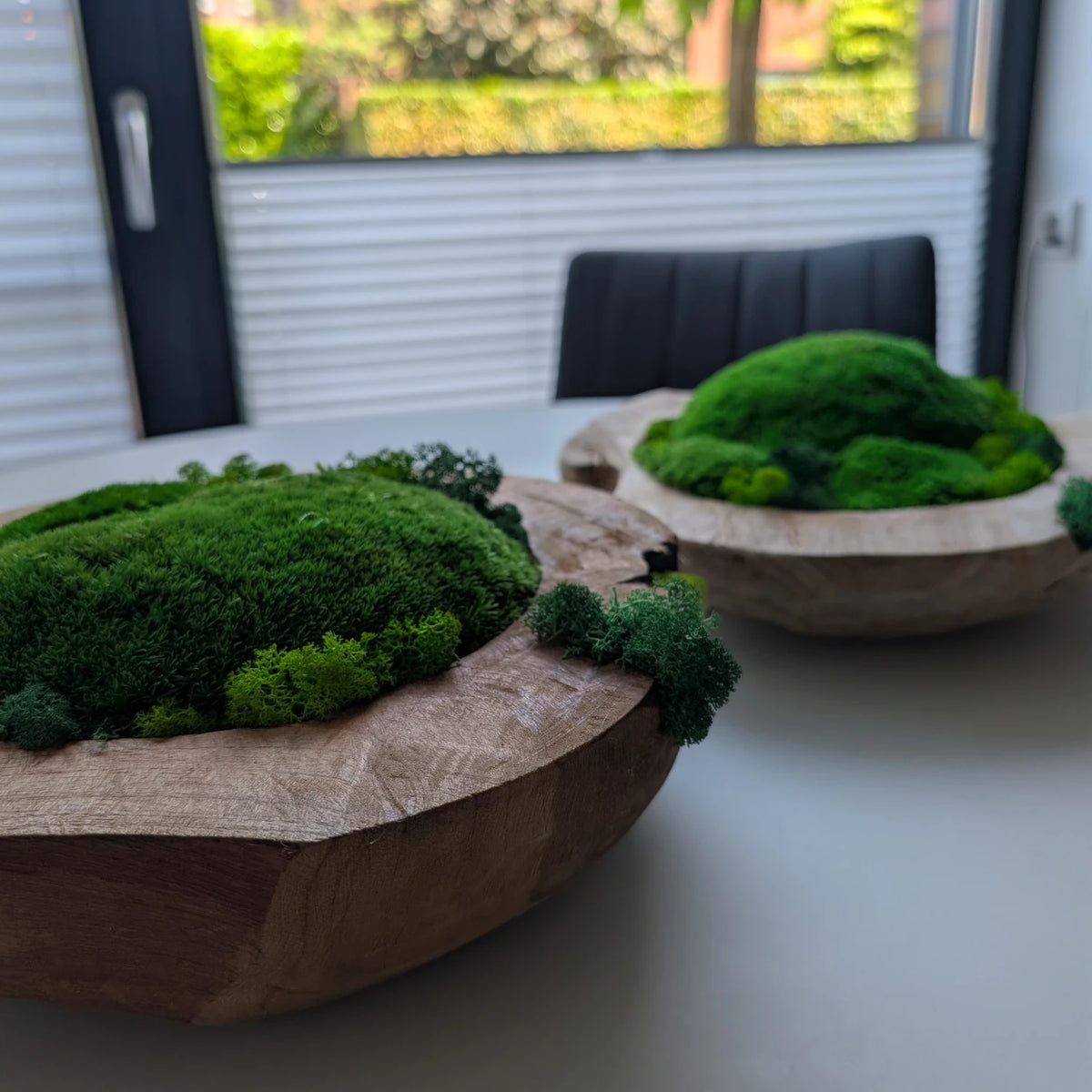 Zwei Moosschalen unterschiedlicher Holzfarbe als Tischkomposition